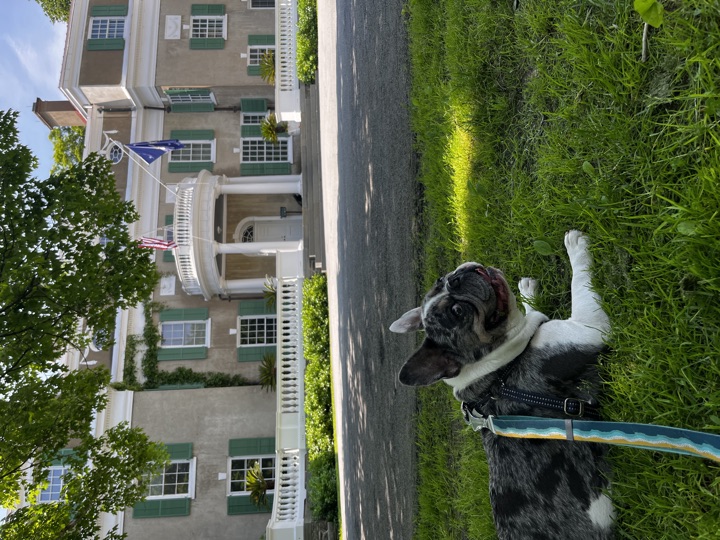 Louie, photograph 120