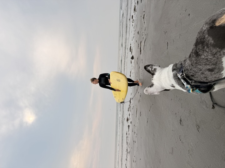 Louie, photograph 168