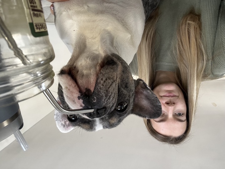 Louie, photograph 84