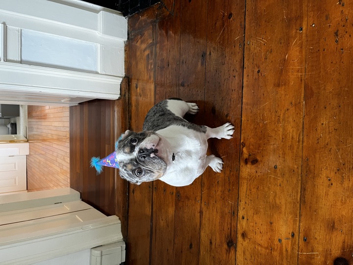 Louie, photograph 99